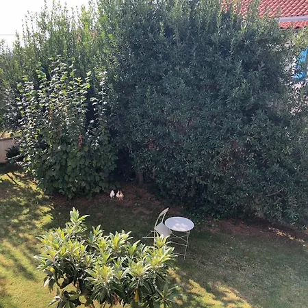 Apartman Number 5 Pakostane