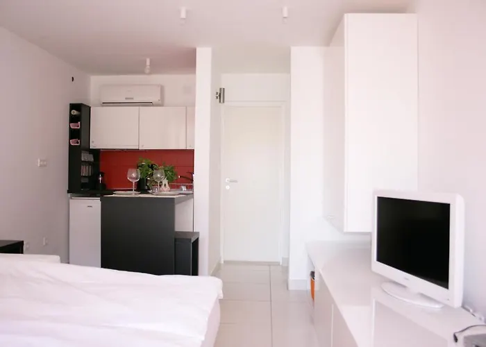 Number 5 * 파코스탄