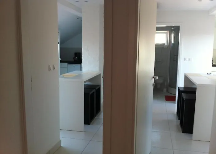 Number 5 * 파코스탄