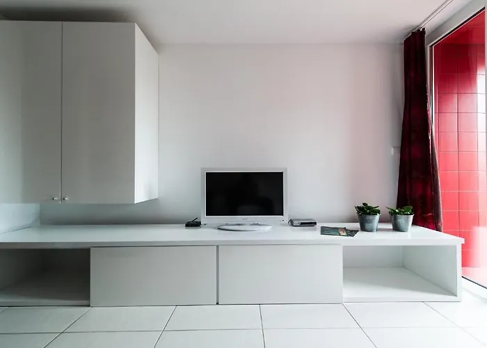 Number 5 * 파코스탄