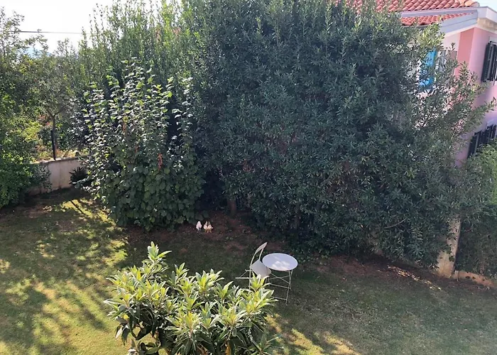 아파트 Number 5 파코스탄