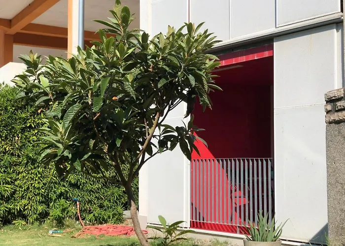 Number 5 파코스탄